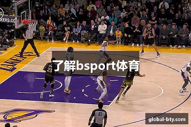 了解bsport体育